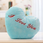 Decorative Luminous Pillow